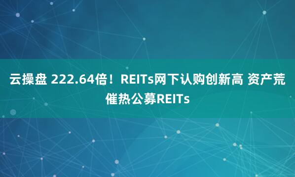 云操盘 222.64倍！REITs网下认购创新高 资产荒催热公募REITs