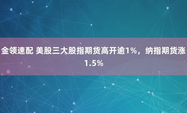 金领速配 美股三大股指期货高开逾1%，纳指期货涨1.5%