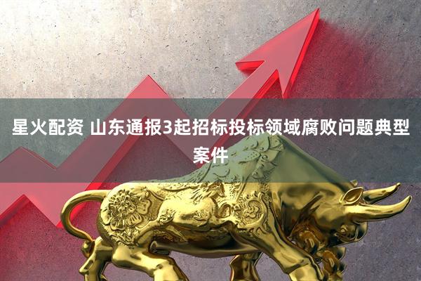星火配资 山东通报3起招标投标领域腐败问题典型案件